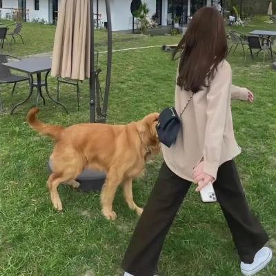 精神遗产